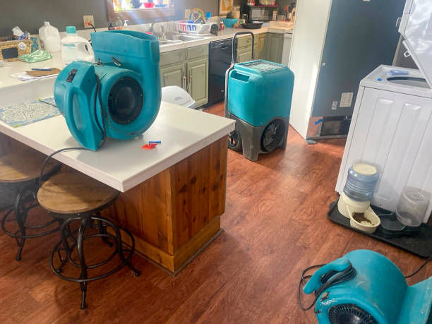 Best Water damage cleanup near me  in Pacifi, CA