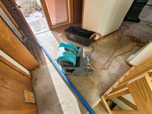  Pacifi, CA Water damage restoration Pros