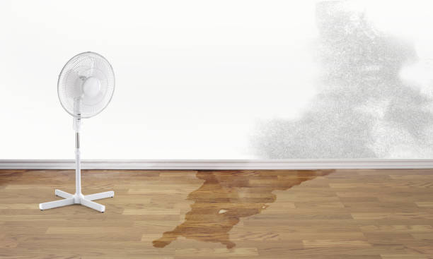 Trusted Pacifica, CA Water damage restoration Experts