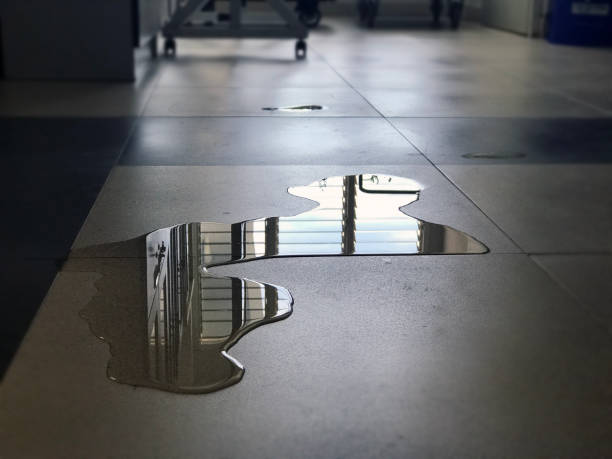 Best Water damage restoration near me  in Pacifi, CA