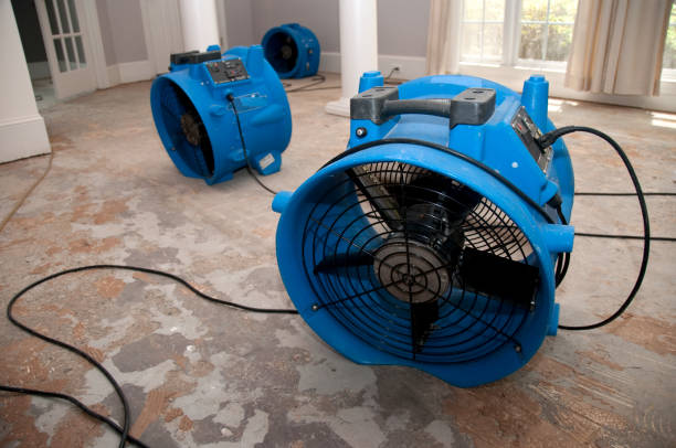 Best 24-hour water damage restoration  in Pacifi, CA