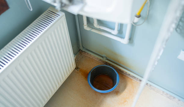 Best Mold removal after water damage  in Pacifi, CA
